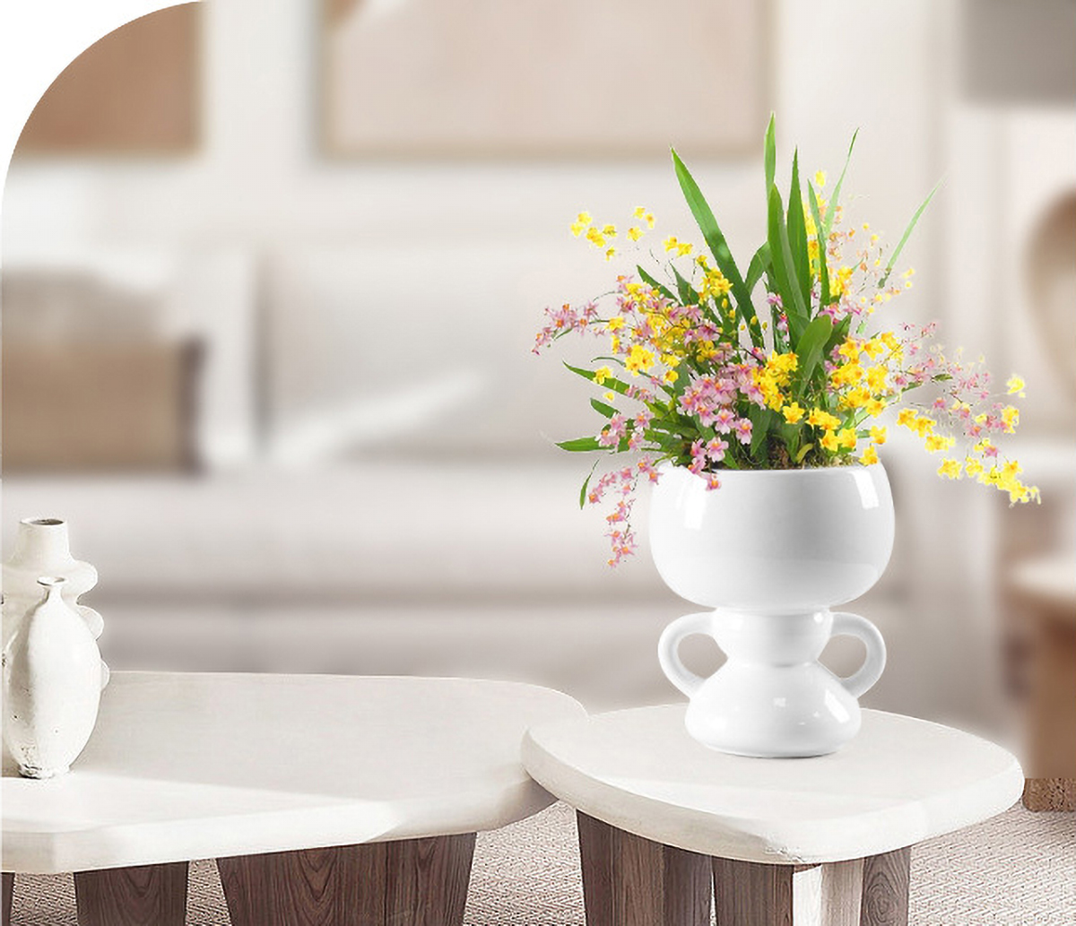 Matorino -Cute Indoor Plant Pot, Unique Flower Pot with Face, Succulent or Cactus Planter with Drainage Hole, Decorative Plant Pot, Novelty Planter.