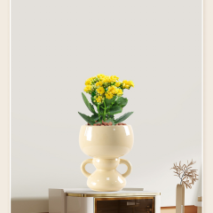 Matorino -Cute Indoor Plant Pot, Unique Flower Pot with Face, Succulent or Cactus Planter with Drainage Hole, Decorative Plant Pot, Novelty Planter.
