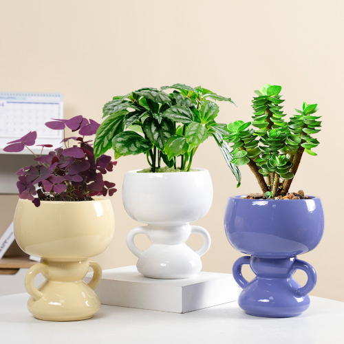 Matorino -Cute Indoor Plant Pot, Unique Flower Pot with Face, Succulent or Cactus Planter with Drainage Hole, Decorative Plant Pot, Novelty Planter.