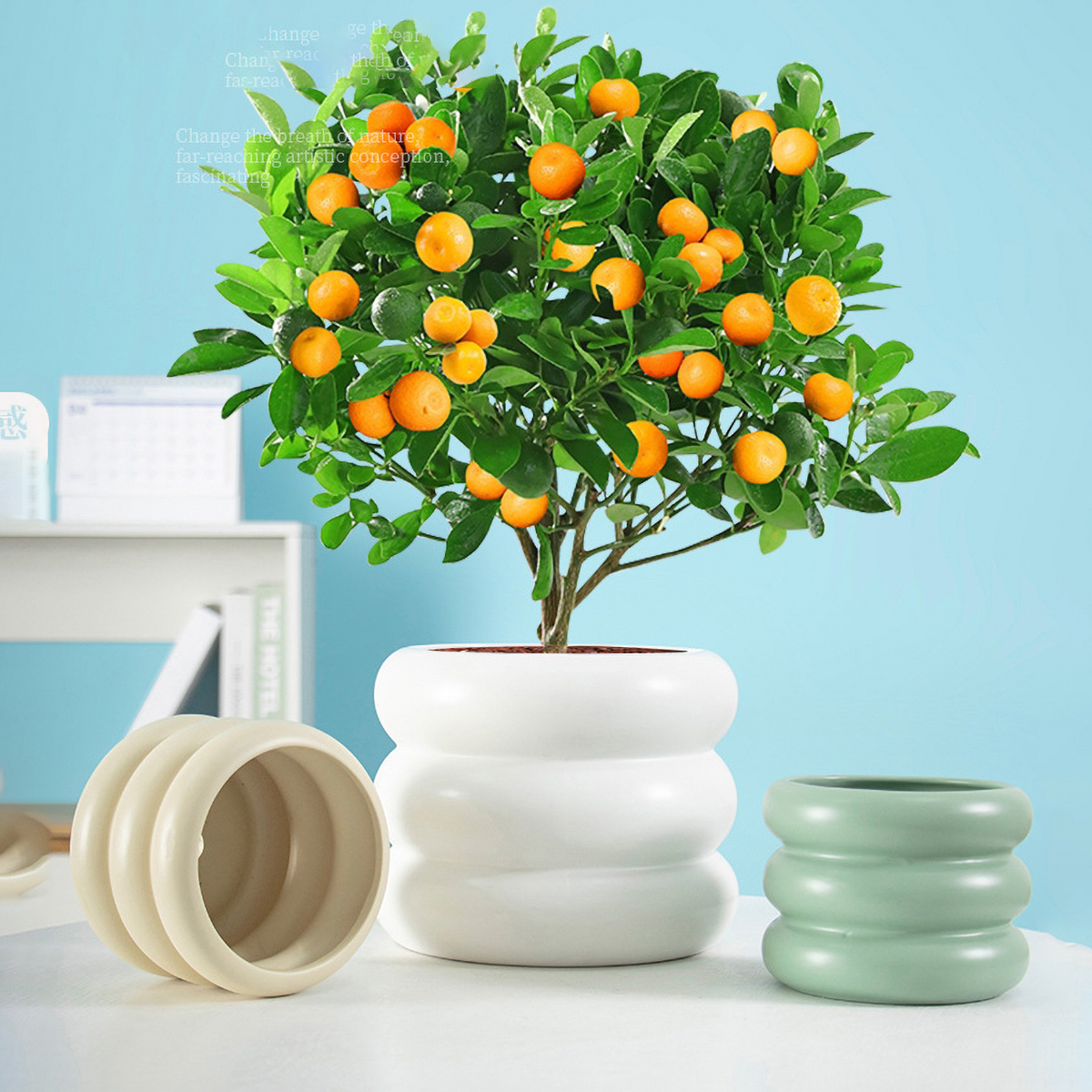 Matorino -Doughnut Ceramic Plant Pot,Flower Pot for All Indoor Plants, Sturdy Planter Pots with Drainage Hole.