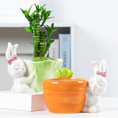 Matorino -Rabbit Succulent Planter, Bunny Decor, Unique planters, Cute Planter, Garden Planter, Decorative planters Outdoor, Flower Pot Succulent Planter, Animal planters for Outdoor Plants, Plant Gifts.