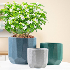 Matorino -Ceramic Pots for Indoor Plants, Set of 3 in Different Sizes Round Plant Pots, Flower Pots with Connected Saucer for Garden Indoor Outdoor Plants.