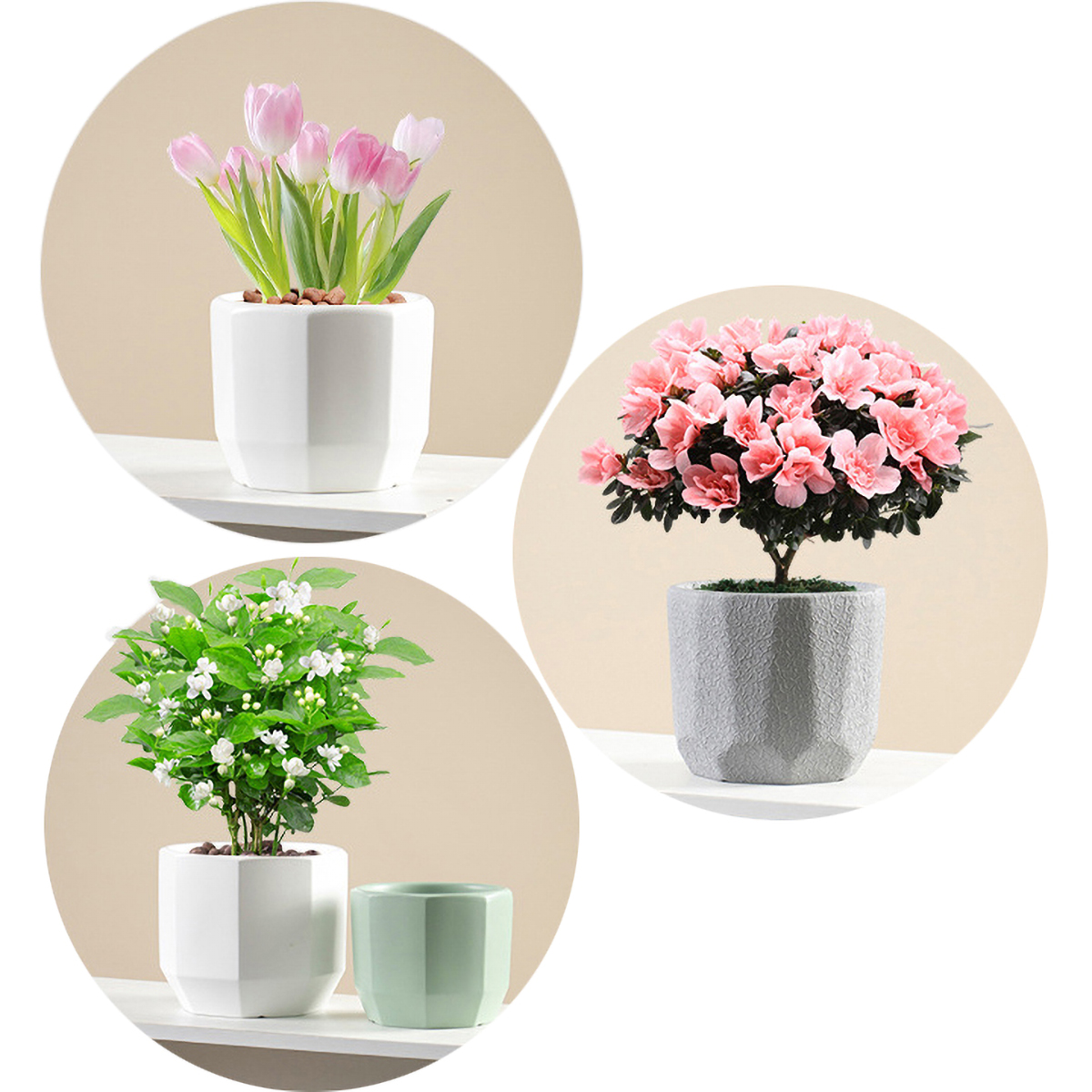 Matorino -Ceramic Pots for Indoor Plants, Set of 3 in Different Sizes Round Plant Pots, Flower Pots with Connected Saucer for Garden Indoor Outdoor Plants.