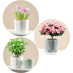 Matorino -Ceramic Pots for Indoor Plants, Set of 3 in Different Sizes Round Plant Pots, Flower Pots with Connected Saucer for Garden Indoor Outdoor Plants.