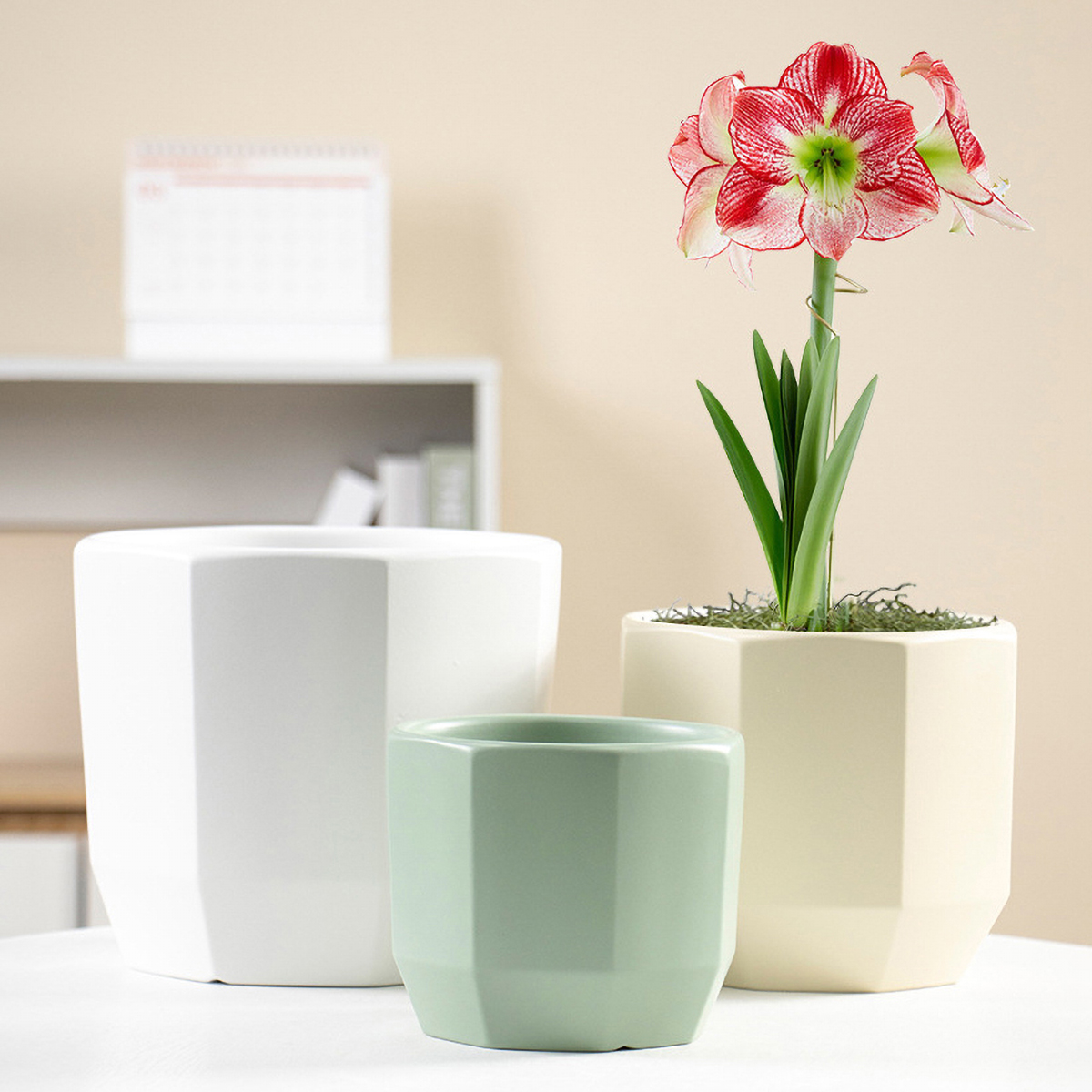 Matorino -Ceramic Pots for Indoor Plants, Set of 3 in Different Sizes Round Plant Pots, Flower Pots with Connected Saucer for Garden Indoor Outdoor Plants.
