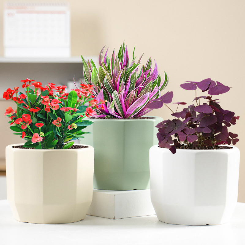Matorino -Ceramic Pots for Indoor Plants, Set of 3 in Different Sizes Round Plant Pots, Flower Pots with Connected Saucer for Garden Indoor Outdoor Plants.