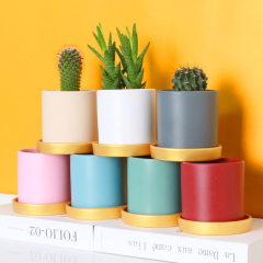 Matorino -Double Size Ceramic Plant Pots with Drainage Holes, Adorable Flower Planter Pot with Bamboo Tray for Indoor Plants, Succulent, Snake Plants, Cactus & Herbs.