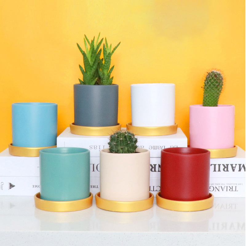 Matorino -Double Size Ceramic Plant Pots with Drainage Holes, Adorable Flower Planter Pot with Bamboo Tray for Indoor Plants, Succulent, Snake Plants, Cactus & Herbs.