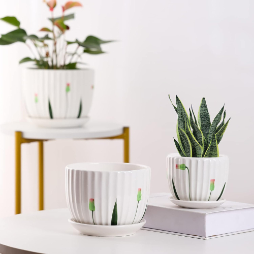 Matorino -Set of 4 Ceramic Plant Pots, Garden Flower Planter Pot, Round Modern Succulent Cactus Containers with Drainage and Saucer.