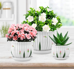 Matorino -Set of 4 Ceramic Plant Pots, Garden Flower Planter Pot, Round Modern Succulent Cactus Containers with Drainage and Saucer.