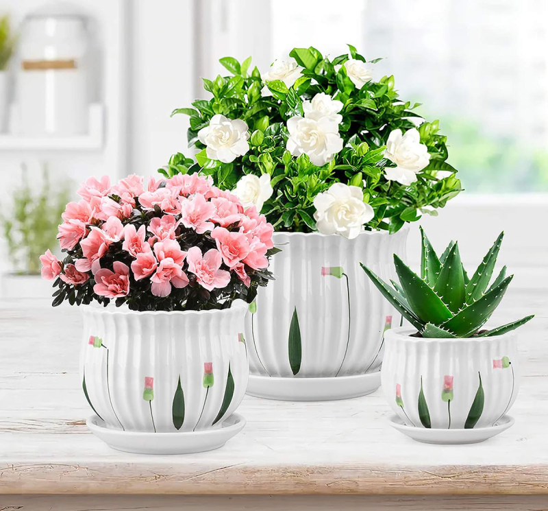 Matorino -Set of 4 Ceramic Plant Pots, Garden Flower Planter Pot, Round Modern Succulent Cactus Containers with Drainage and Saucer.