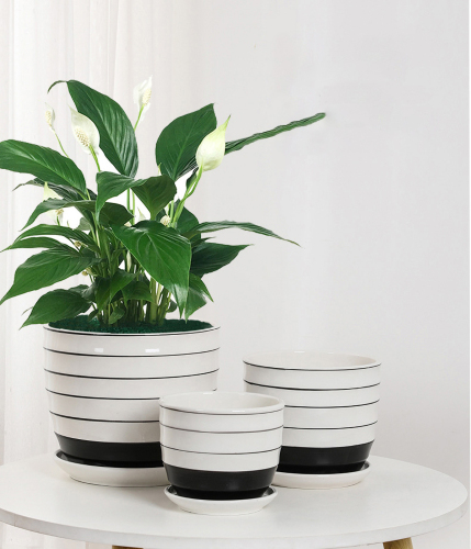 Matorino -Plant Pots,White Pots for Indoor Plants with Drainage Holes,Cylinder Flower Pot Ceramic Planters with Saucer,Cactus Succulent Outdoor Garden Pots Set of 3.