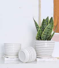Matorino -Plant Pots,White Pots for Indoor Plants with Drainage Holes,Cylinder Flower Pot Ceramic Planters with Saucer,Cactus Succulent Outdoor Garden Pots Set of 3.