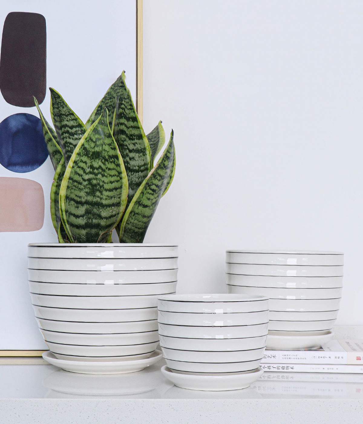 Matorino -Plant Pots,White Pots for Indoor Plants with Drainage Holes,Cylinder Flower Pot Ceramic Planters with Saucer,Cactus Succulent Outdoor Garden Pots Set of 3.