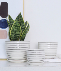 Matorino -Plant Pots,White Pots for Indoor Plants with Drainage Holes,Cylinder Flower Pot Ceramic Planters with Saucer,Cactus Succulent Outdoor Garden Pots Set of 3.