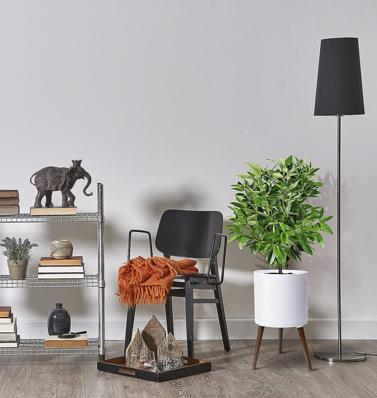 Matorino -Planter Pot with Stand, Mid-Century Tall Plant Pot with Legs for Indoor Plants.