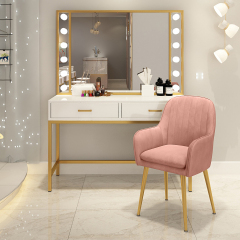 Matorino -Computer Desk with 2 Storage Drawers, Home Office Desk with Steel Frame, Simple Study Writing Workstation, Makeup Vanity Console Table for Living Room, Bedroom.