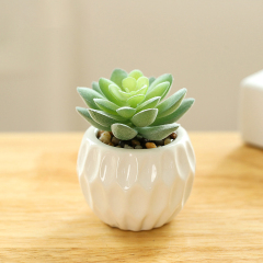Matorino -Artificial Succulent Plants in White Ceramic Pots, Fake Small Fake Plants, Faux Mini Succulents Plants Indoor for Desk Living Room Bedroom Windowsills Office Home Decoration.