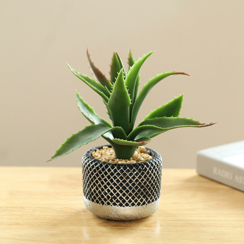Matorino -Mini Potted Succulents Plants for Windowsills Decoration， Artificial Plastic Eucalyptus Plants for Living Room Shelves, Artificial Small Fake Plants for Home Office Desk, Farmhouse Room Decor. Cement Pots.