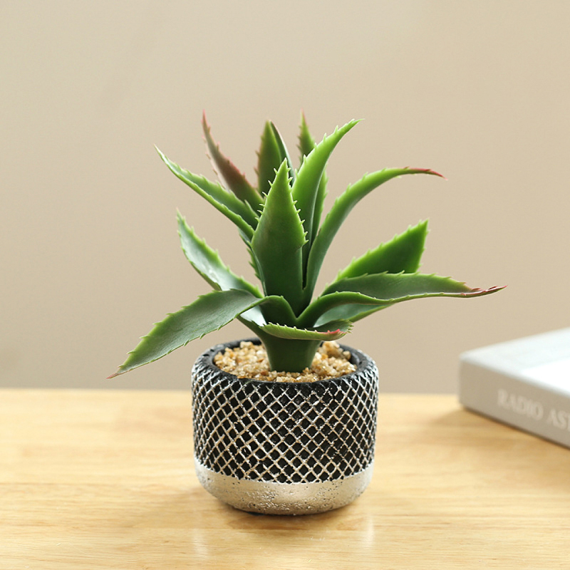 Matorino -Mini Potted Succulents Plants for Windowsills Decoration， Artificial Plastic Eucalyptus Plants for Living Room Shelves, Artificial Small Fake Plants for Home Office Desk, Farmhouse Room Decor. Cement Pots.