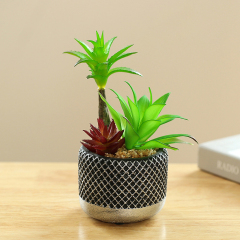 Matorino -Mini Potted Succulents Plants for Windowsills Decoration， Artificial Plastic Eucalyptus Plants for Living Room Shelves, Artificial Small Fake Plants for Home Office Desk, Farmhouse Room Decor. Cement Pots.