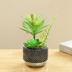 Matorino -Mini Potted Succulents Plants for Windowsills Decoration， Artificial Plastic Eucalyptus Plants for Living Room Shelves, Artificial Small Fake Plants for Home Office Desk, Farmhouse Room Decor. Cement Pots.