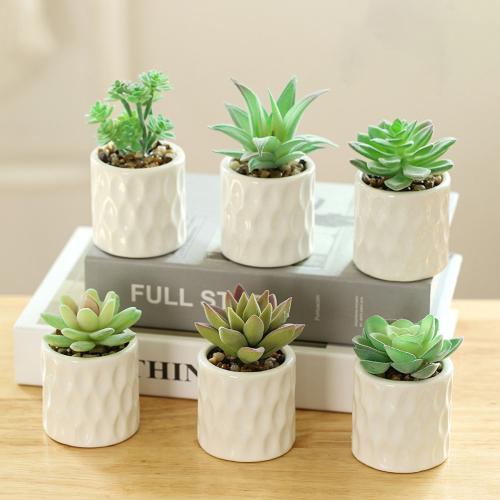 Matorino -Artificial Succulent Plants in White Ceramic Pots, Fake Small Fake Plants, Faux Mini Succulents Plants Indoor for Desk Living Room Bedroom Windowsills Office Home Decoration.
