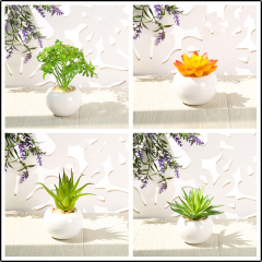 Matorino -Small Artificial Succulents, Fake Plants, Ceramic Pot Planter, Mini Potted Plant Decoration for Home, Office Desk, Window Sill, Outdoor Indoor.