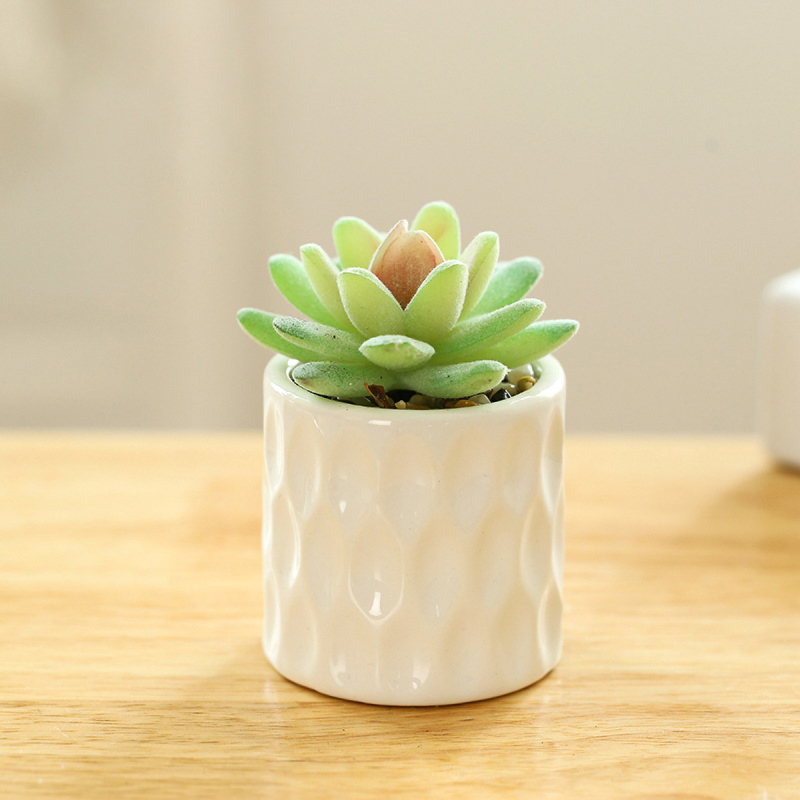 Matorino -Artificial Succulent Plants in White Ceramic Pots, Fake Small Fake Plants, Faux Mini Succulents Plants Indoor for Desk Living Room Bedroom Windowsills Office Home Decoration.