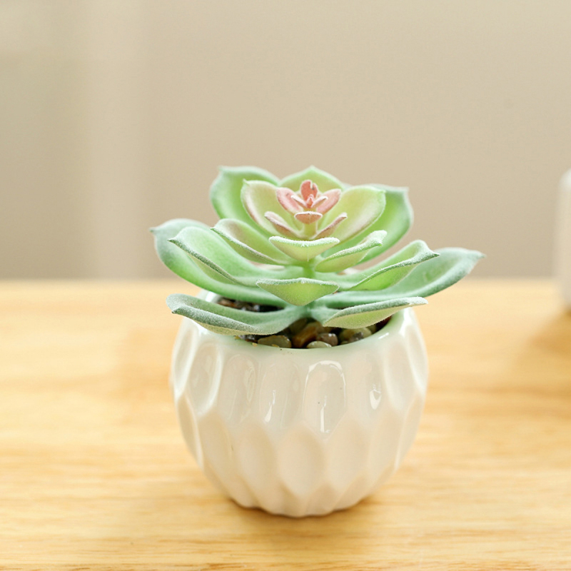 Matorino -Artificial Succulent Plants in White Ceramic Pots, Fake Small Fake Plants, Faux Mini Succulents Plants Indoor for Desk Living Room Bedroom Windowsills Office Home Decoration.