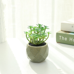 Matorino -Mini Artificial Succulent with Grey Ceramic Pot, Realistic Cactus Fake Plants for Home Office Decoration.