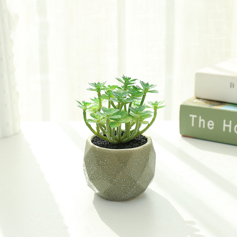 Matorino -Mini Artificial Succulent with Grey Ceramic Pot, Realistic Cactus Fake Plants for Home Office Decoration.