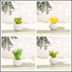 Matorino -Small Artificial Succulents, Fake Plants, Ceramic Pot Planter, Mini Potted Plant Decoration for Home, Office Desk, Window Sill, Outdoor Indoor.
