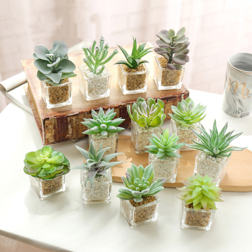 Matorino -Succulents Plants Artificial in Glass Pots, Small Fake Succulents Plants, Faux Plants Indoor for Home Office, Table Desk, Shelf, Room Decor.