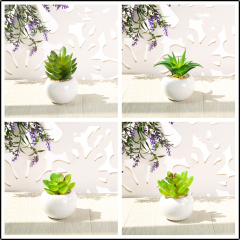 Matorino -Small Artificial Succulents, Fake Plants, Ceramic Pot Planter, Mini Potted Plant Decoration for Home, Office Desk, Window Sill, Outdoor Indoor.