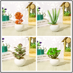Matorino -Small Artificial Succulents, Fake Plants, Ceramic Pot Planter, Mini Potted Plant Decoration for Home, Office Desk, Window Sill, Outdoor Indoor.