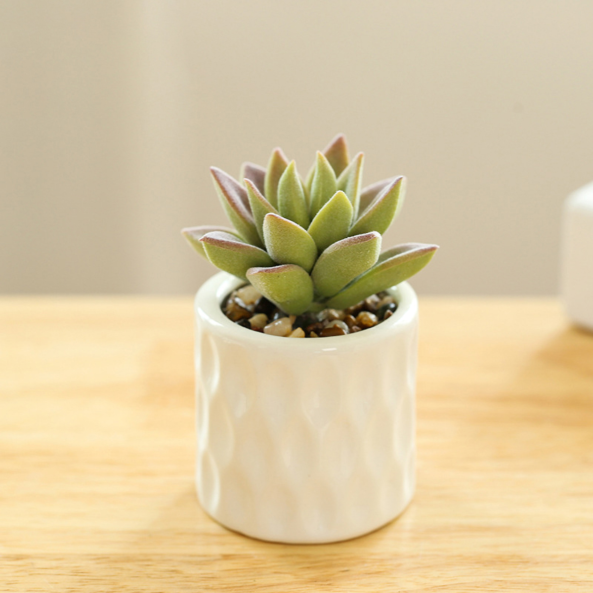 Matorino -Artificial Succulent Plants in White Ceramic Pots, Fake Small Fake Plants, Faux Mini Succulents Plants Indoor for Desk Living Room Bedroom Windowsills Office Home Decoration.