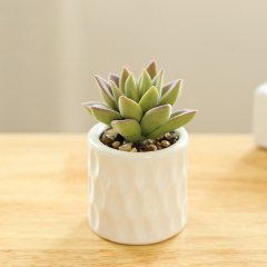 Matorino -Artificial Succulent Plants in White Ceramic Pots, Fake Small Fake Plants, Faux Mini Succulents Plants Indoor for Desk Living Room Bedroom Windowsills Office Home Decoration.