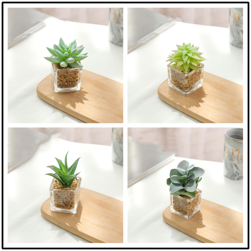 Matorino -Succulents Plants Artificial in Glass Pots, Small Fake Succulents Plants, Faux Plants Indoor for Home Office, Table Desk, Shelf, Room Decor.