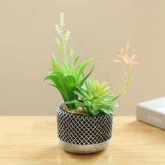 Matorino -Mini Potted Succulents Plants for Windowsills Decoration， Artificial Plastic Eucalyptus Plants for Living Room Shelves, Artificial Small Fake Plants for Home Office Desk, Farmhouse Room Decor. Cement Pots.