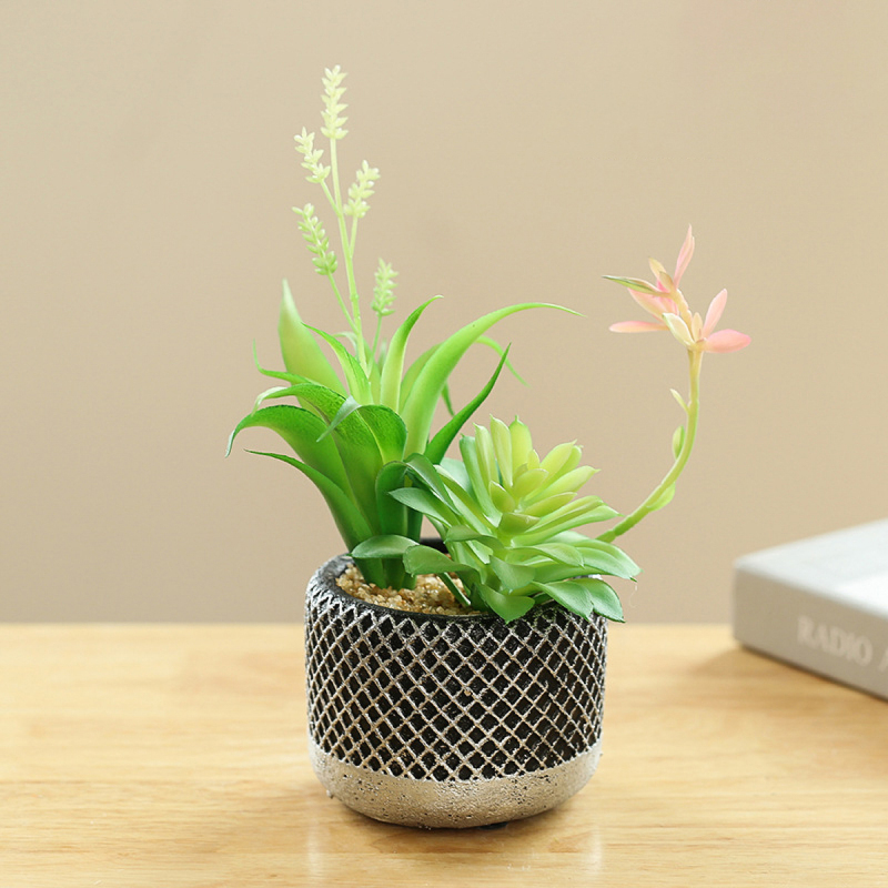 Matorino -Mini Potted Succulents Plants for Windowsills Decoration， Artificial Plastic Eucalyptus Plants for Living Room Shelves, Artificial Small Fake Plants for Home Office Desk, Farmhouse Room Decor. Cement Pots.