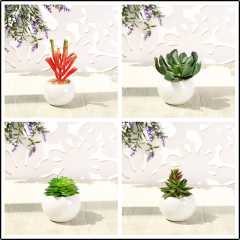 Matorino -Small Artificial Succulents, Fake Plants, Ceramic Pot Planter, Mini Potted Plant Decoration for Home, Office Desk, Window Sill, Outdoor Indoor.