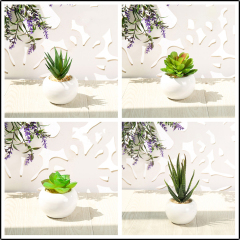 Matorino -Small Artificial Succulents, Fake Plants, Ceramic Pot Planter, Mini Potted Plant Decoration for Home, Office Desk, Window Sill, Outdoor Indoor.