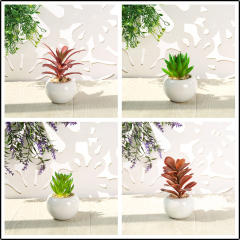 Matorino -Small Artificial Succulents, Fake Plants, Ceramic Pot Planter, Mini Potted Plant Decoration for Home, Office Desk, Window Sill, Outdoor Indoor.