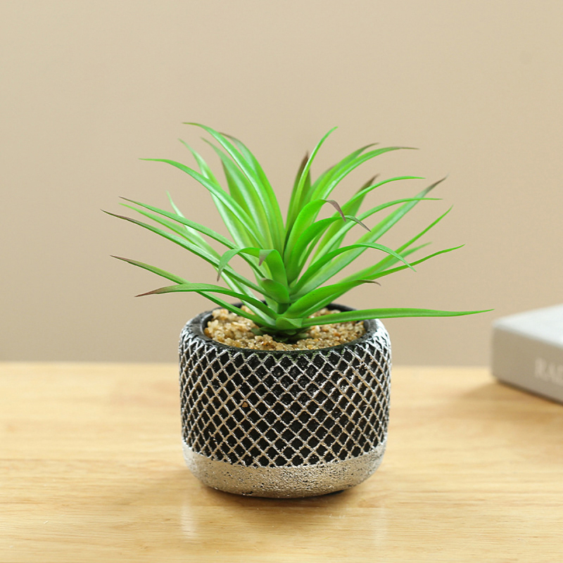 Matorino -Mini Potted Succulents Plants for Windowsills Decoration， Artificial Plastic Eucalyptus Plants for Living Room Shelves, Artificial Small Fake Plants for Home Office Desk, Farmhouse Room Decor. Cement Pots.