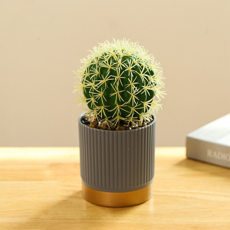 Matorino -High Quality Artificial Tropical Cactus，Assorted Artificial Succulent Potted Plants Decorative, Plastic Faux Cactus with Pots. Tropical Green Bonsai, Exquisite Home Decoration.