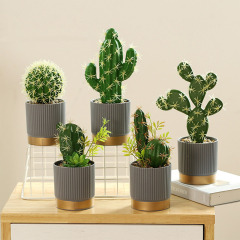 Matorino -High Quality Artificial Tropical Cactus，Assorted Artificial Succulent Potted Plants Decorative, Plastic Faux Cactus with Pots. Tropical Green Bonsai, Exquisite Home Decoration.
