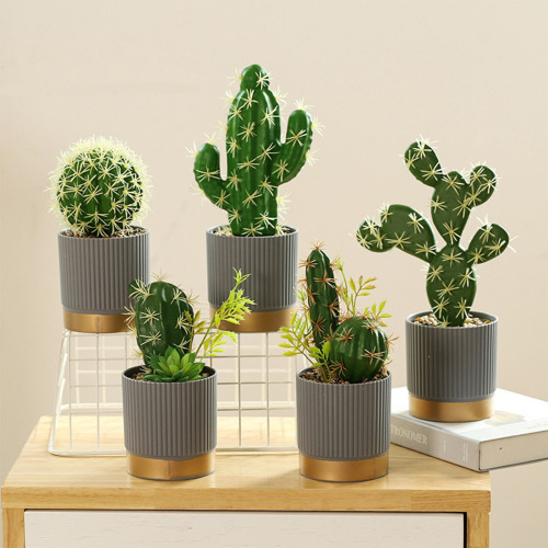 Matorino -High Quality Artificial Tropical Cactus，Assorted Artificial Succulent Potted Plants Decorative, Plastic Faux Cactus with Pots. Tropical Green Bonsai, Exquisite Home Decoration.
