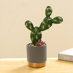 Matorino -High Quality Artificial Tropical Cactus，Assorted Artificial Succulent Potted Plants Decorative, Plastic Faux Cactus with Pots. Tropical Green Bonsai, Exquisite Home Decoration.