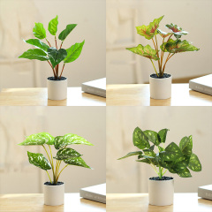 Matorino -Potted Fake Plants Artifical Snake Plant,Monstera Plant,Areca Palm and Bird of Paradise,Faux Desk Plants for Indoor Decoration, Perfect Housewarming Gift.